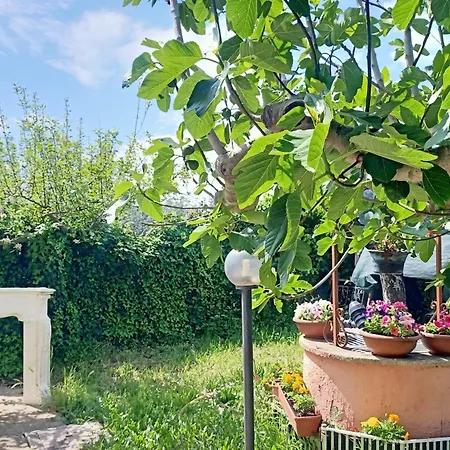 Antonina 2 Semesterbostad Crecchio